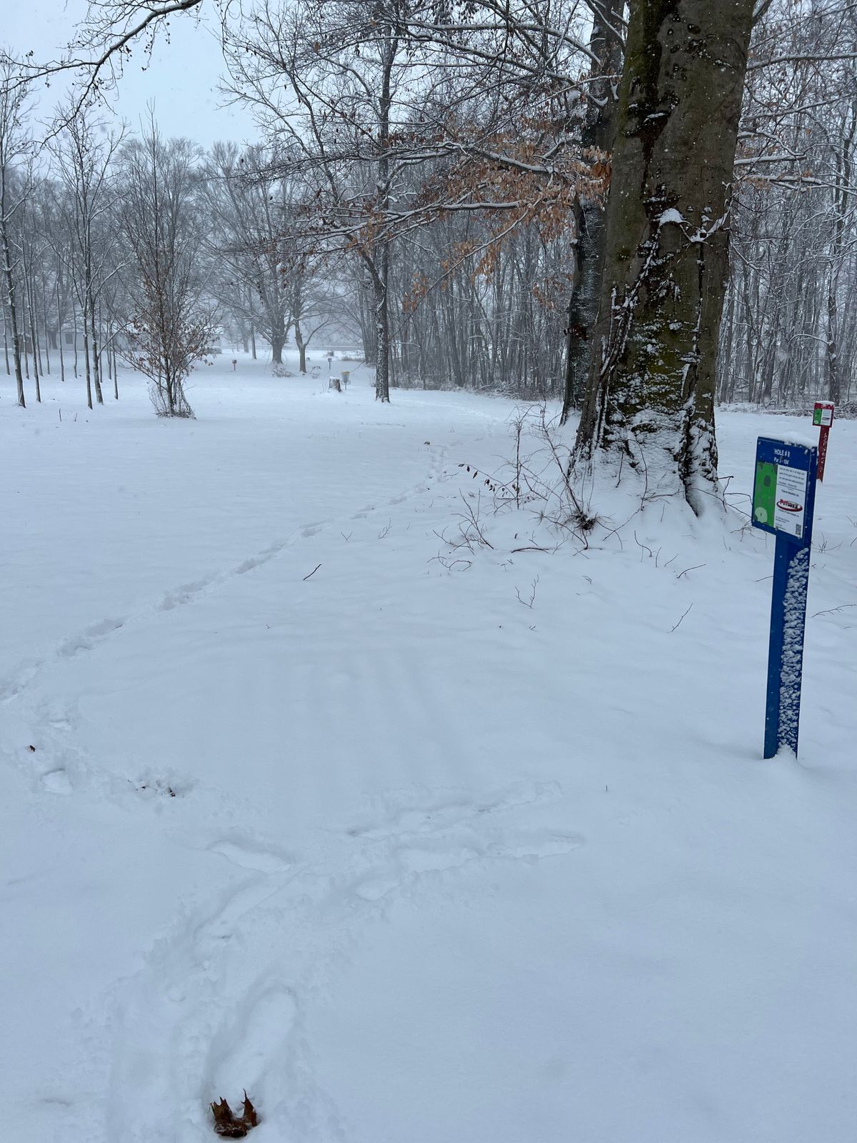 #8 Fairway
