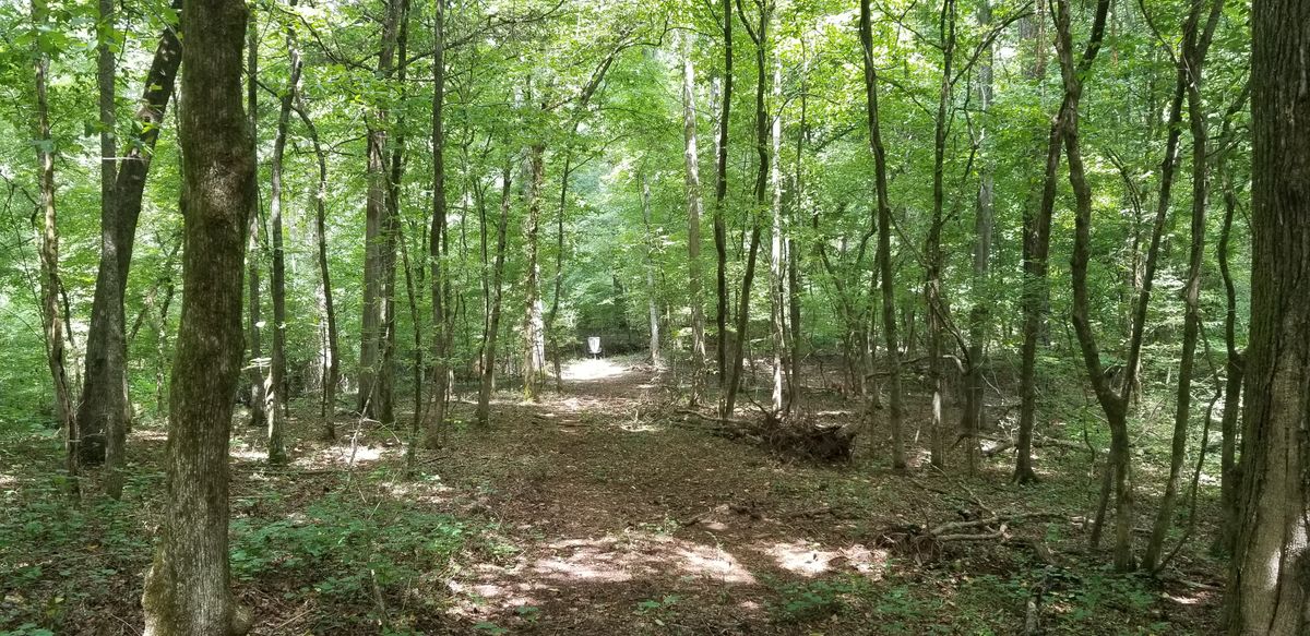 Hole 4