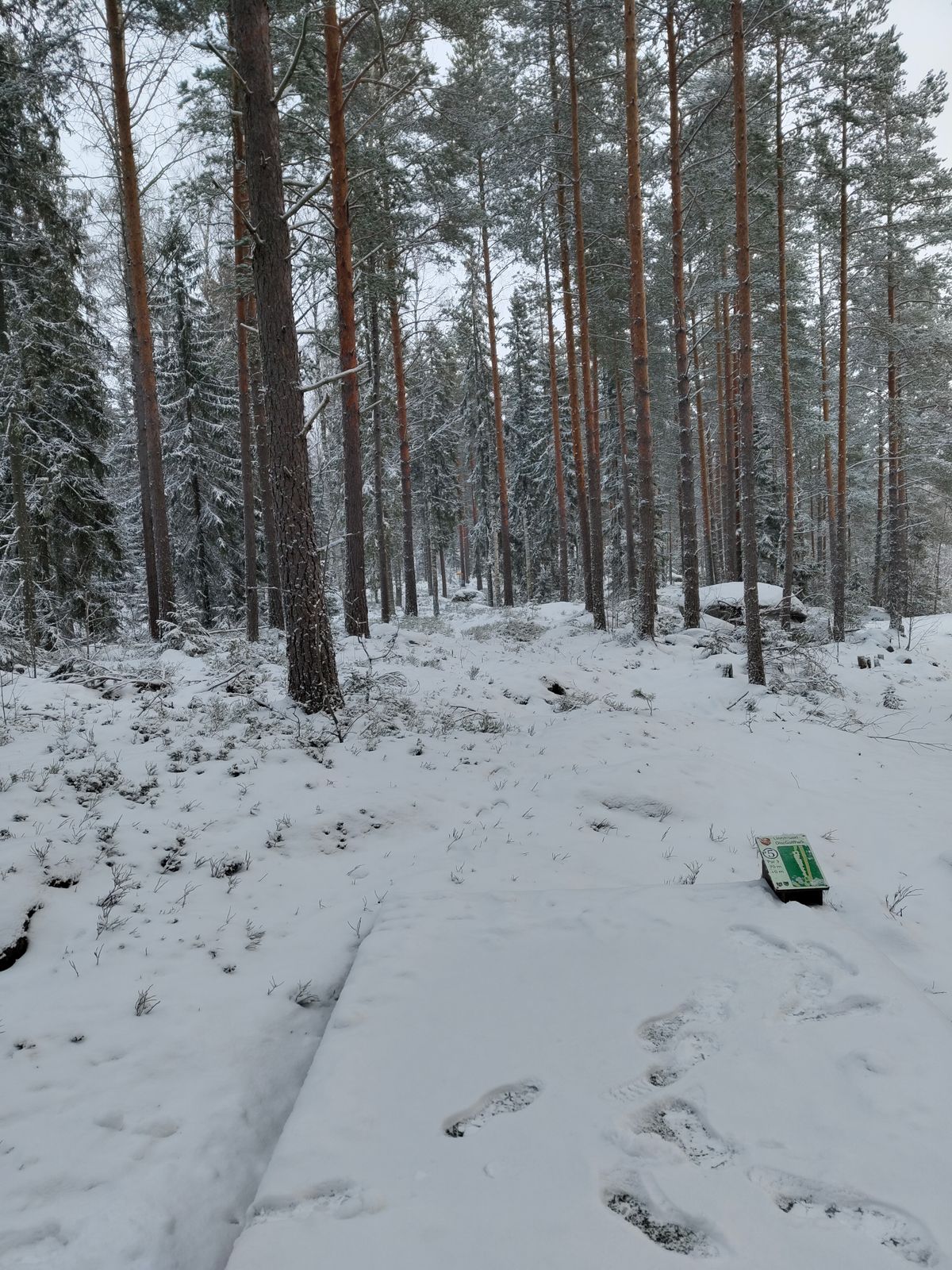 5 väylä