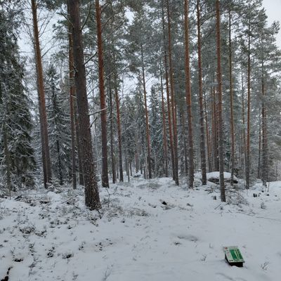 5 väylä
