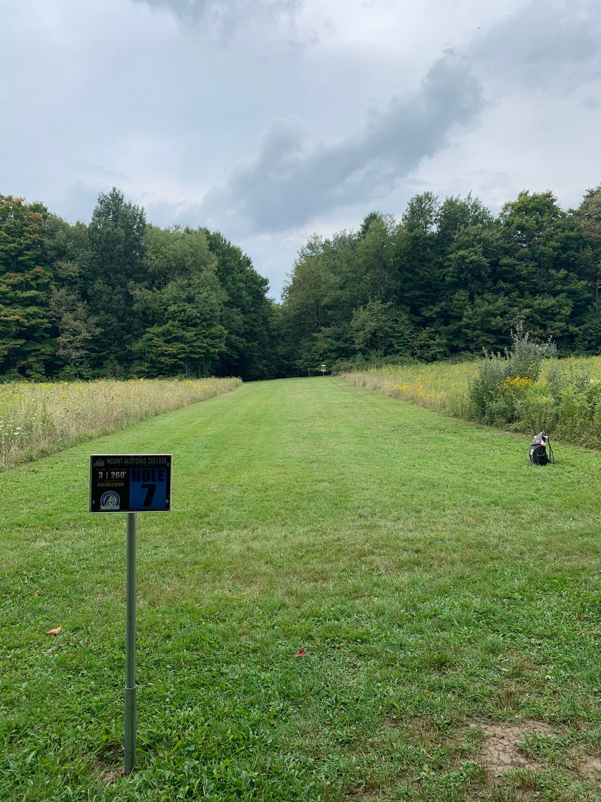 Hole 7 tee
