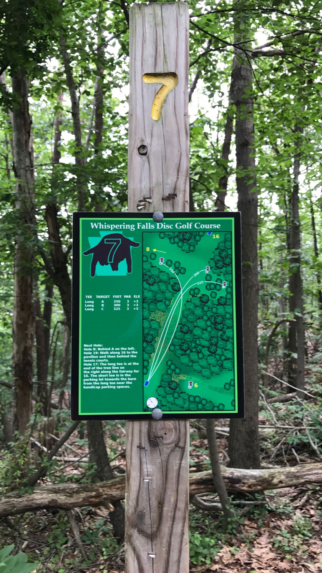 Hole 7