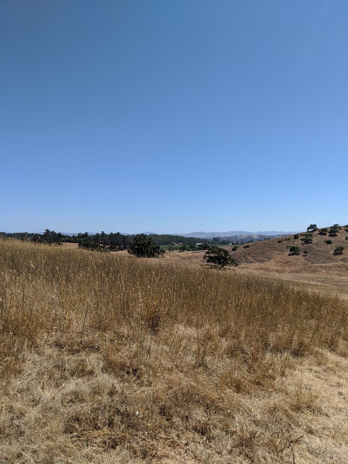 The view at # 10