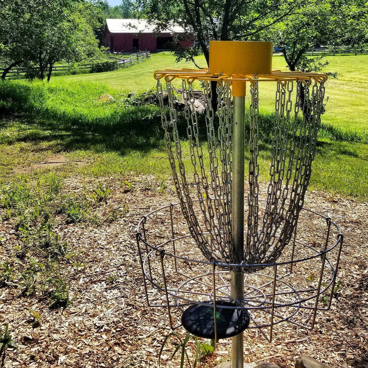 Looking back at the barn from hole one's old basket.