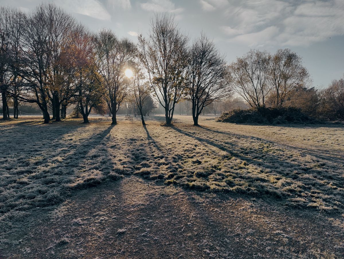 Freezing temperatures!