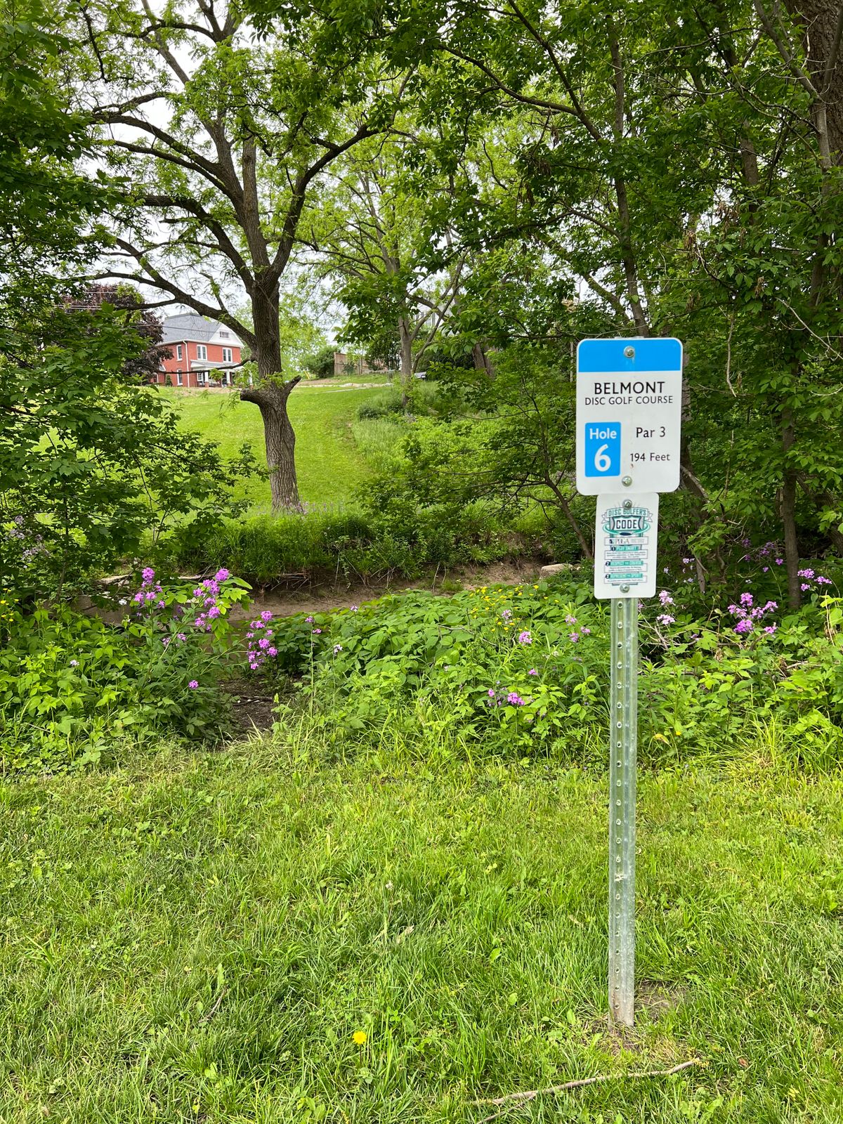 Hole 6 tee