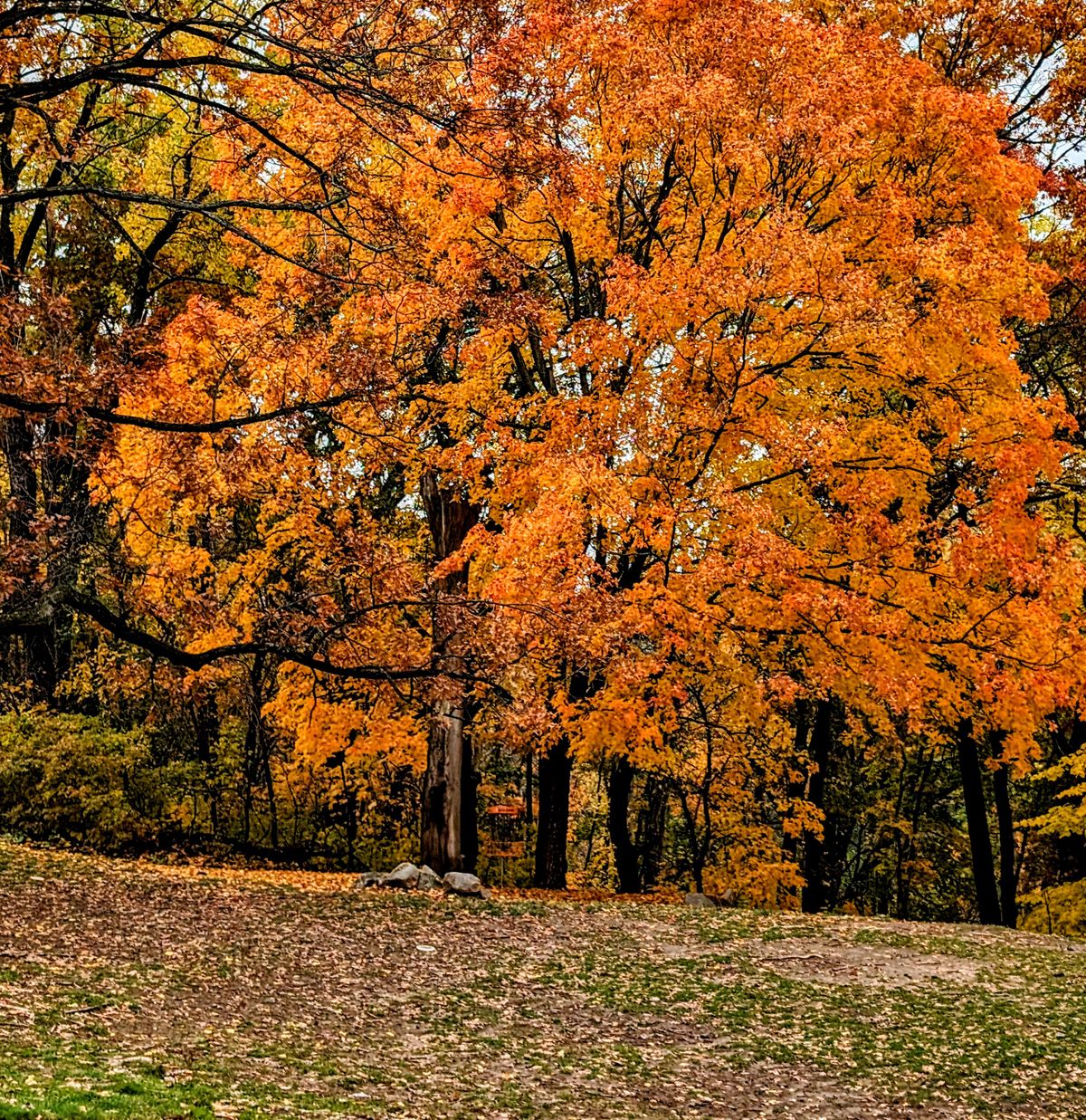 Crash & Burn in October