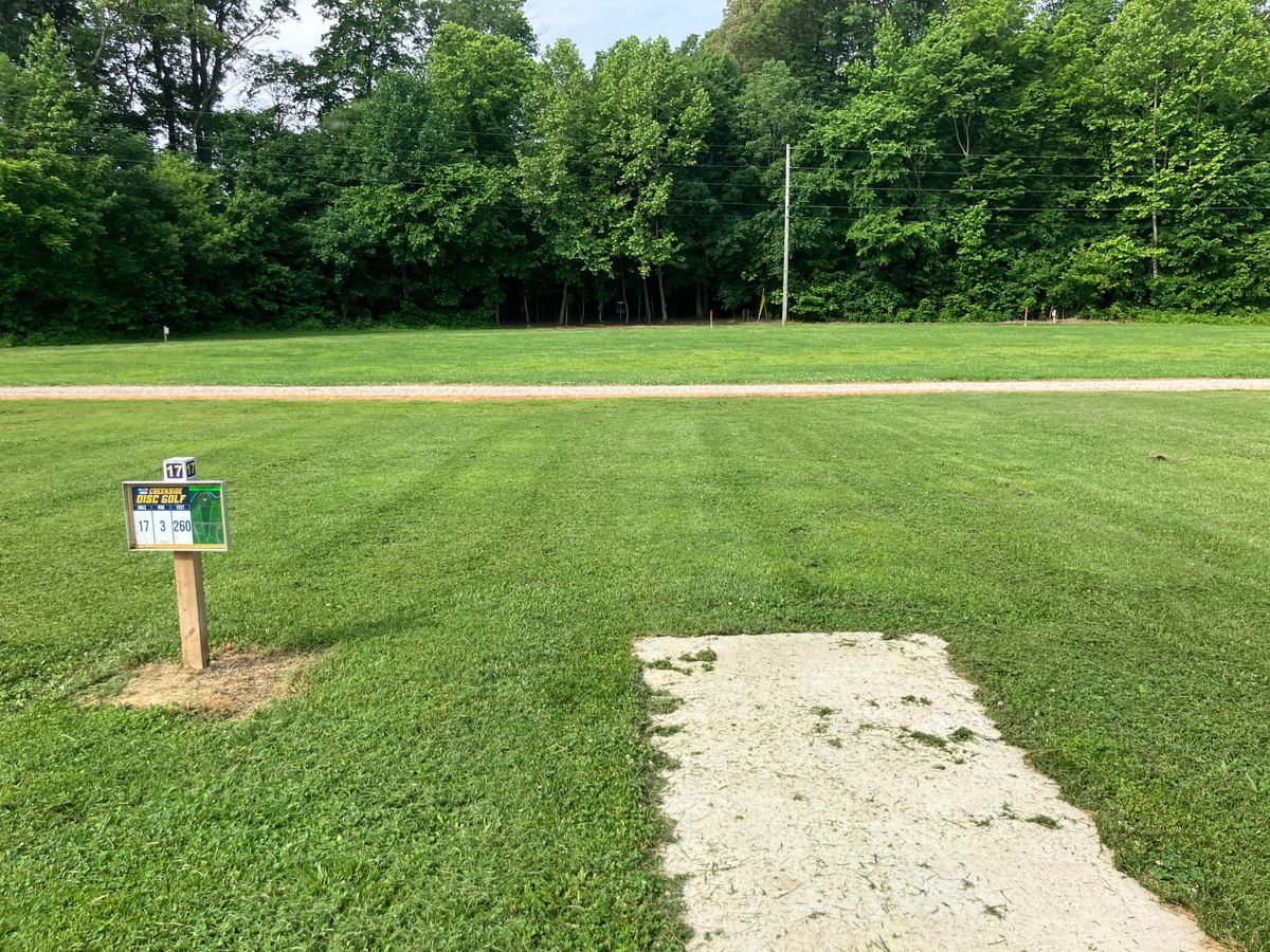 Hole 17 250 ft along creek. Creek plays OB. Guardians in front of basket.