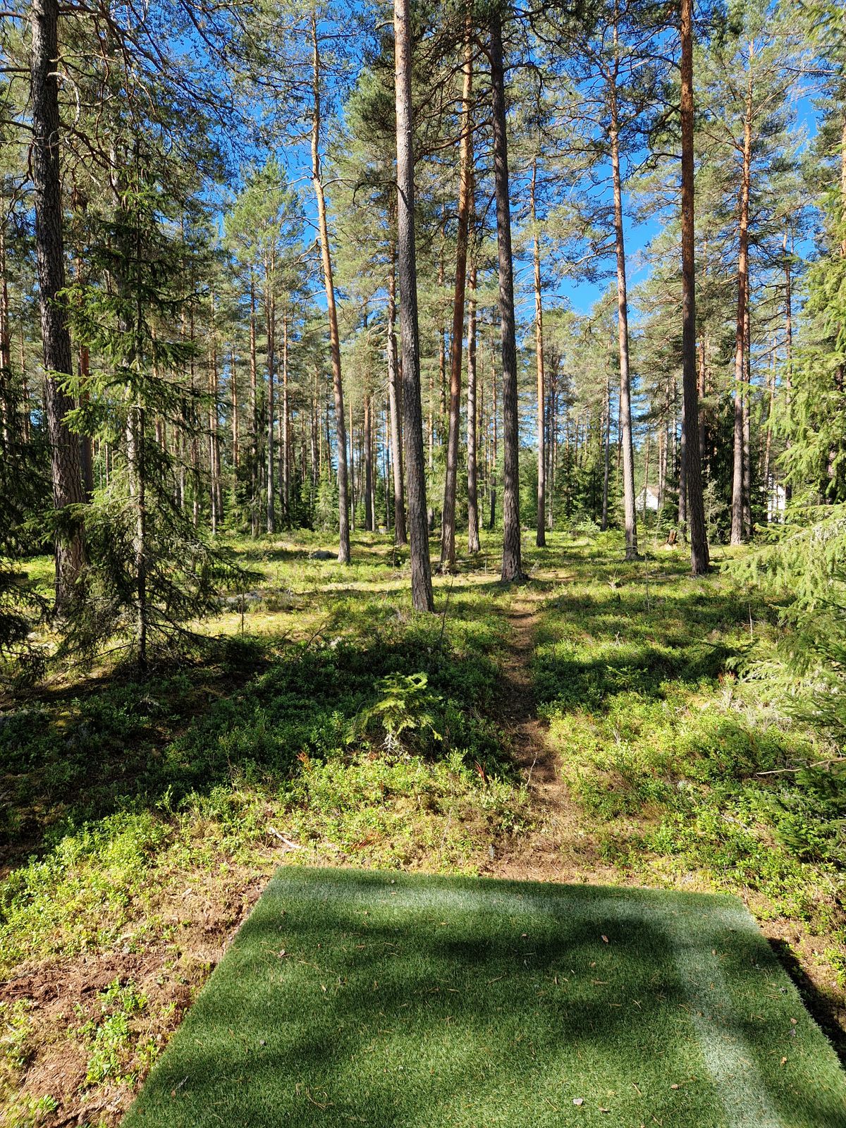 Hål 6