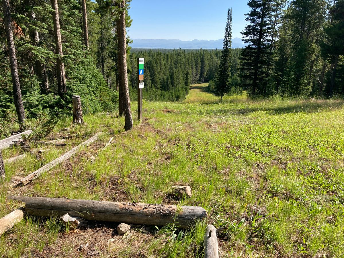 Hole 15 (on the app)