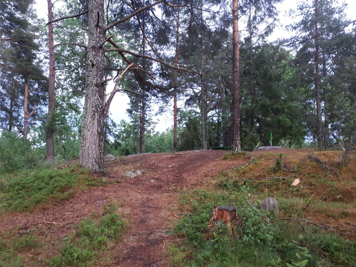 Kuperad terräng.