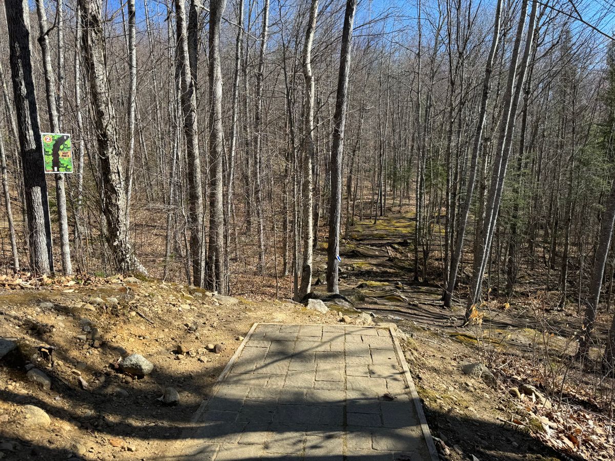Hole 2