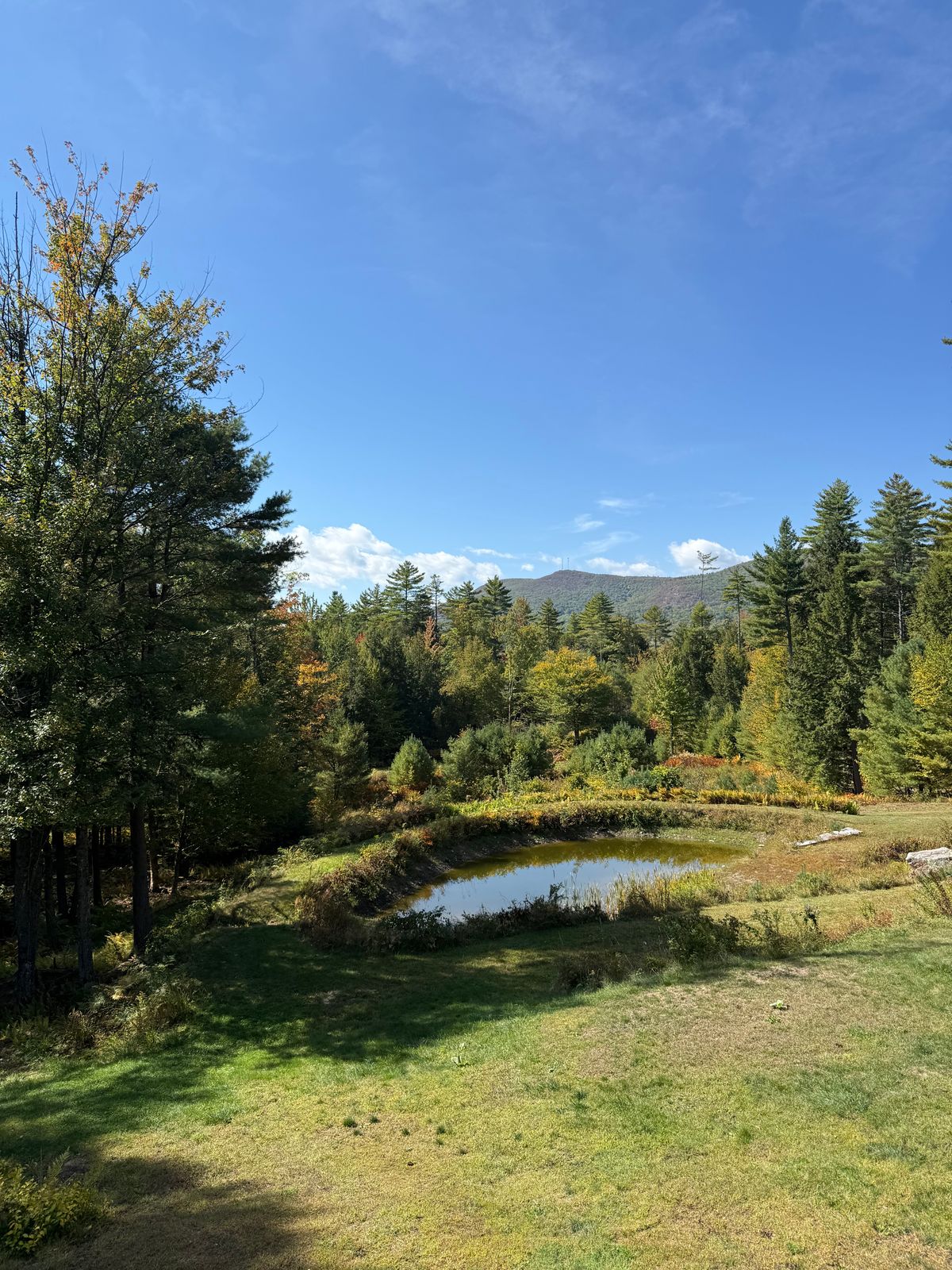 view from first tee