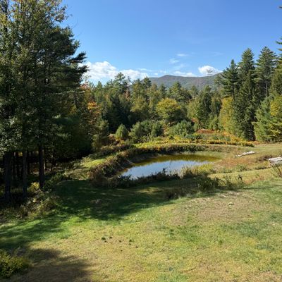 view from first tee