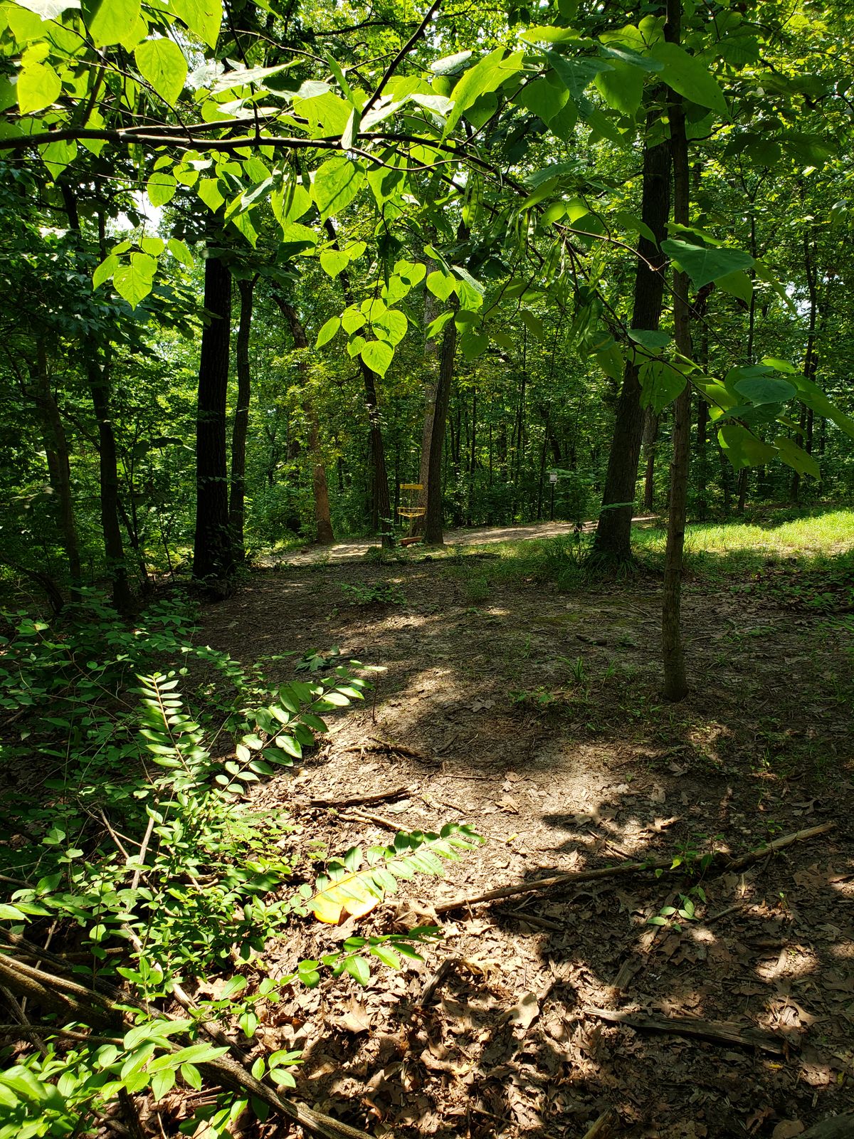 #2 Approach