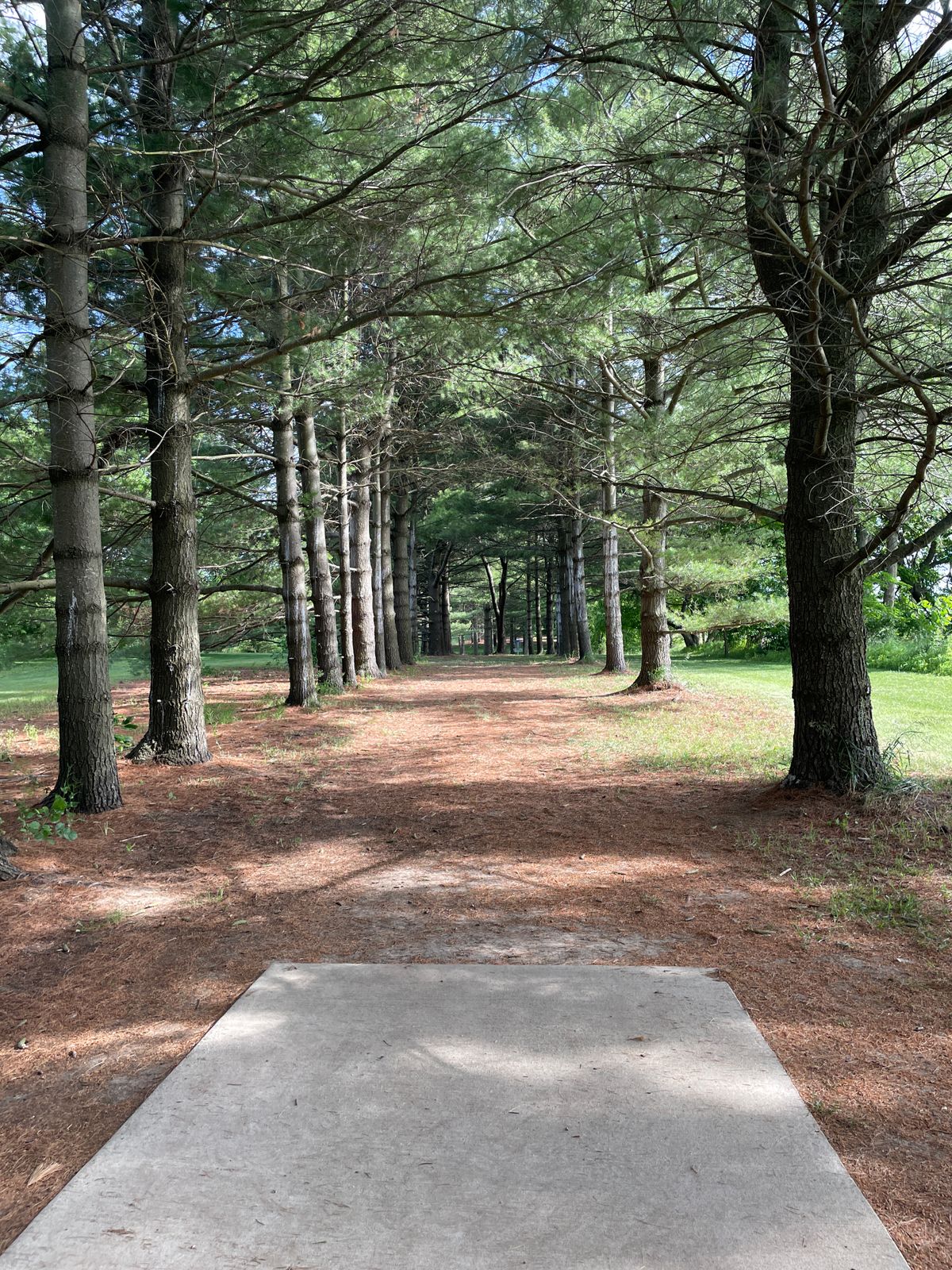 Hole 10 from tee
