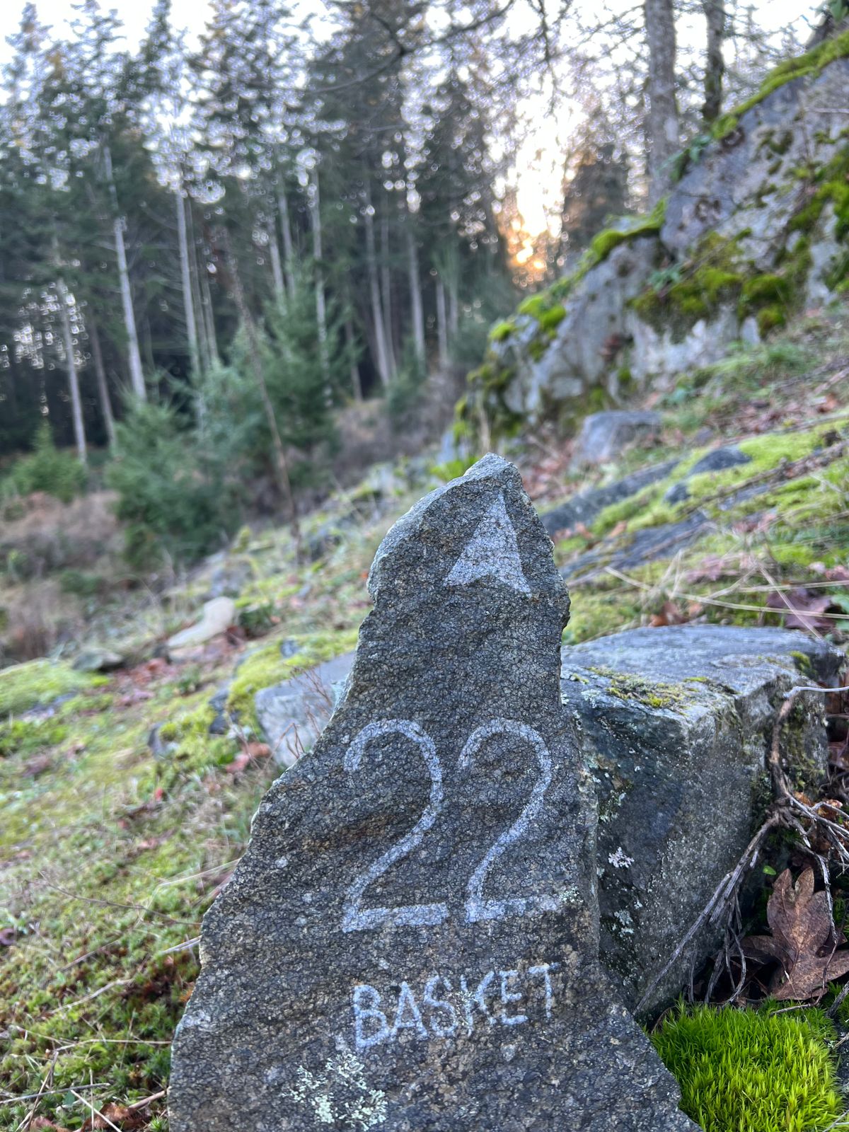 Basket 22 this way.