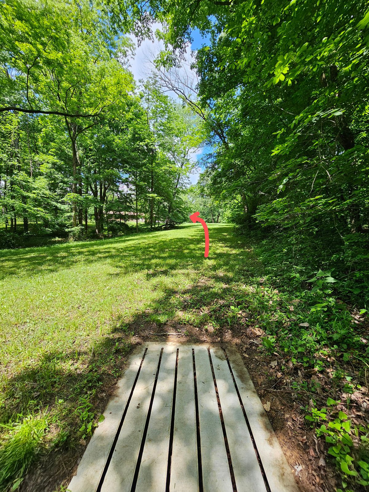 Hole 5