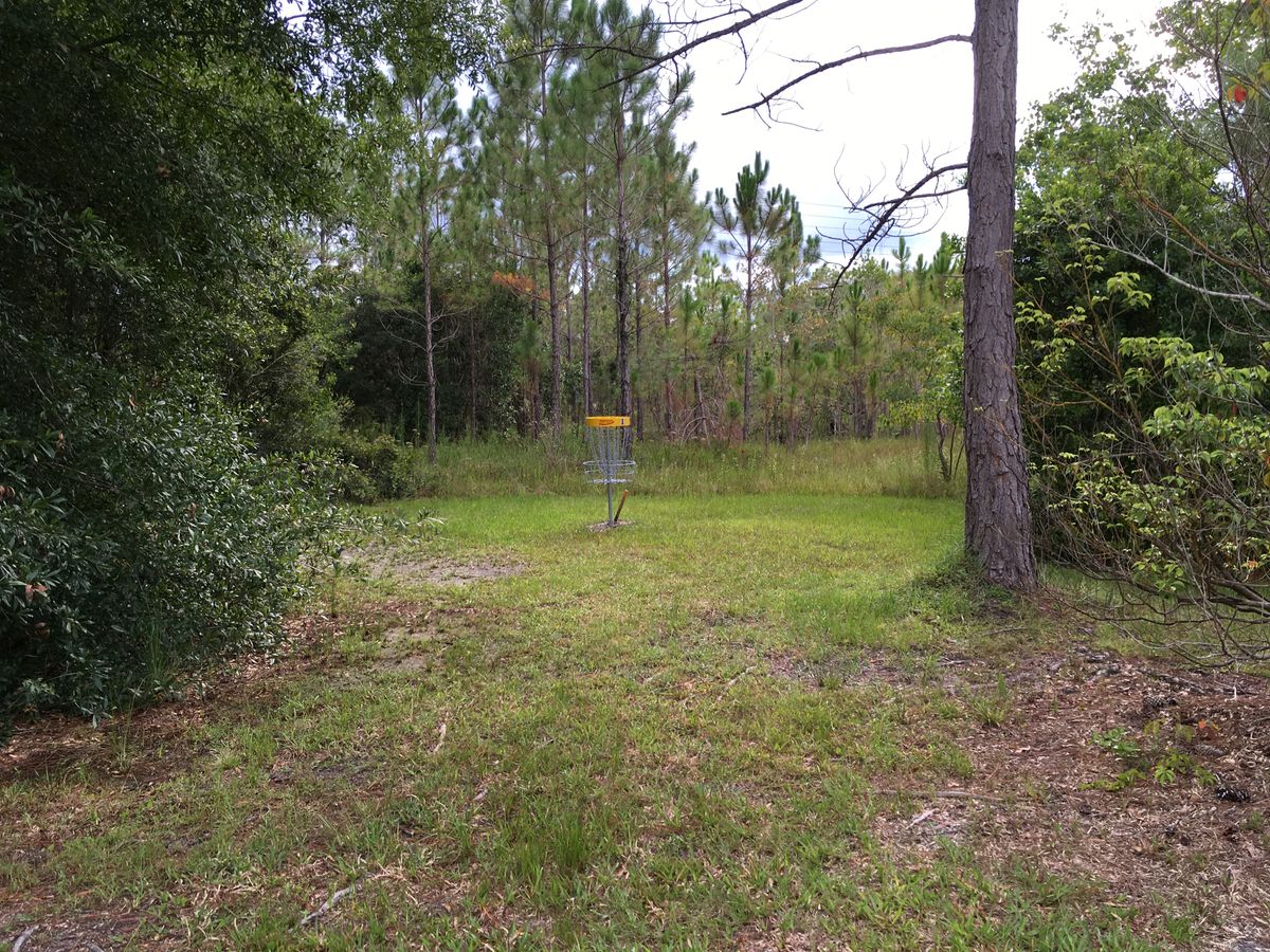 Hole 1 Basket