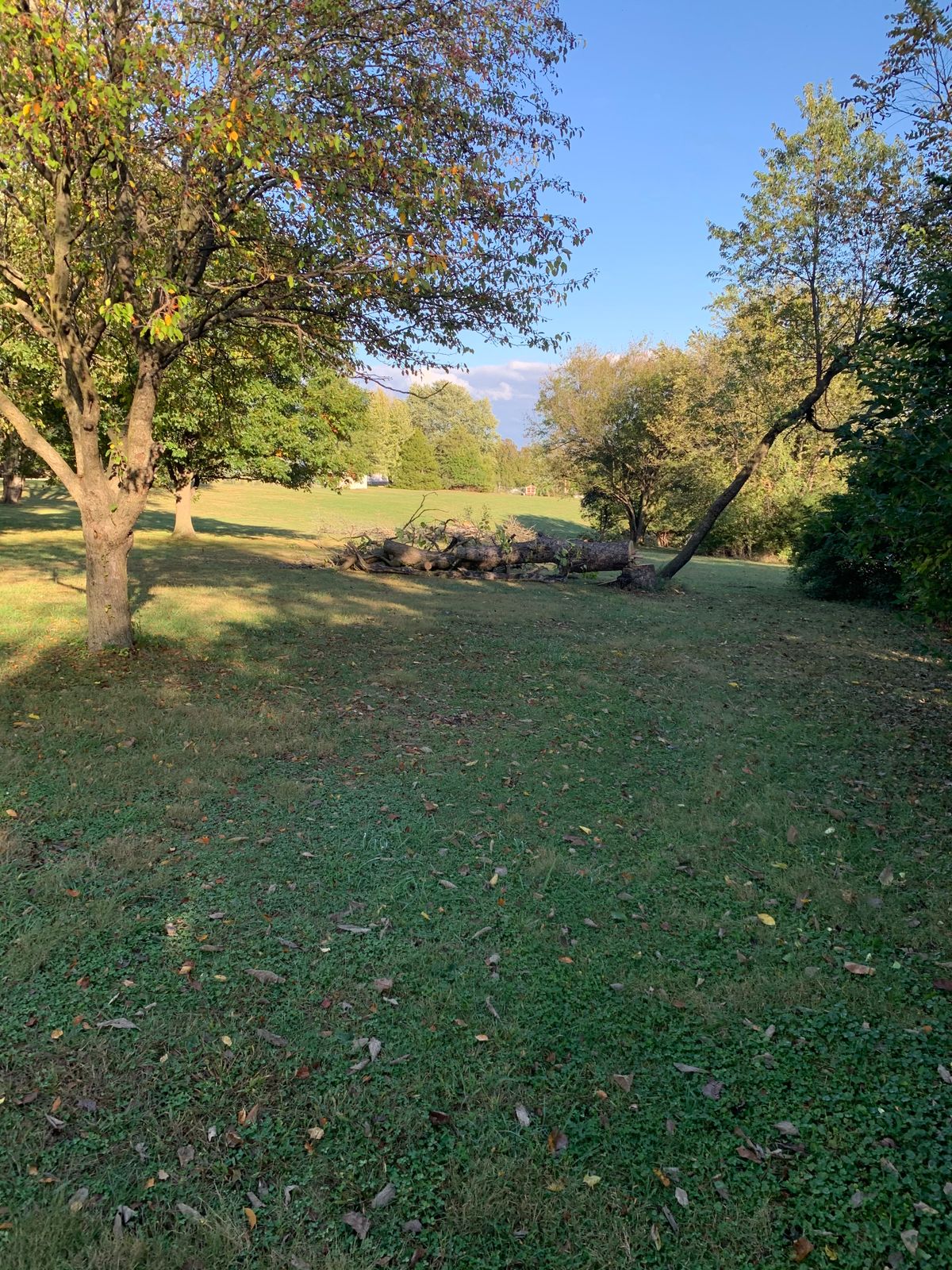 12 tee in October 2021
