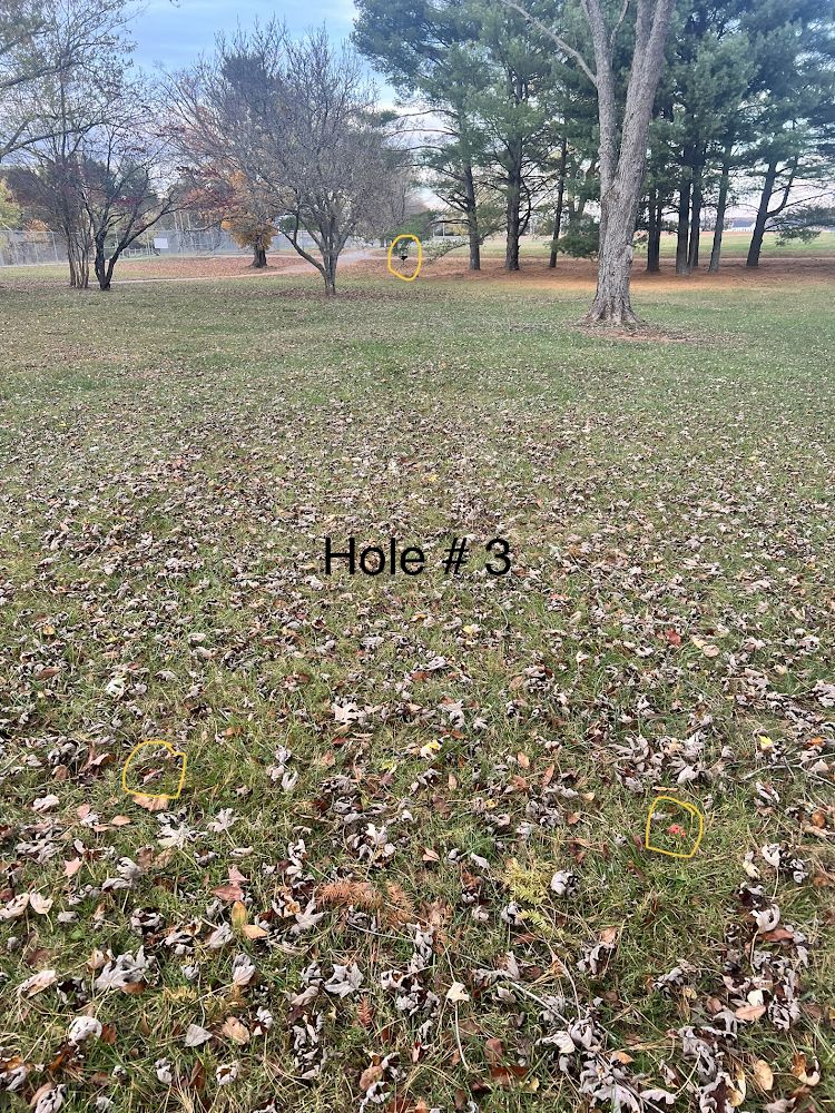 Hole 3