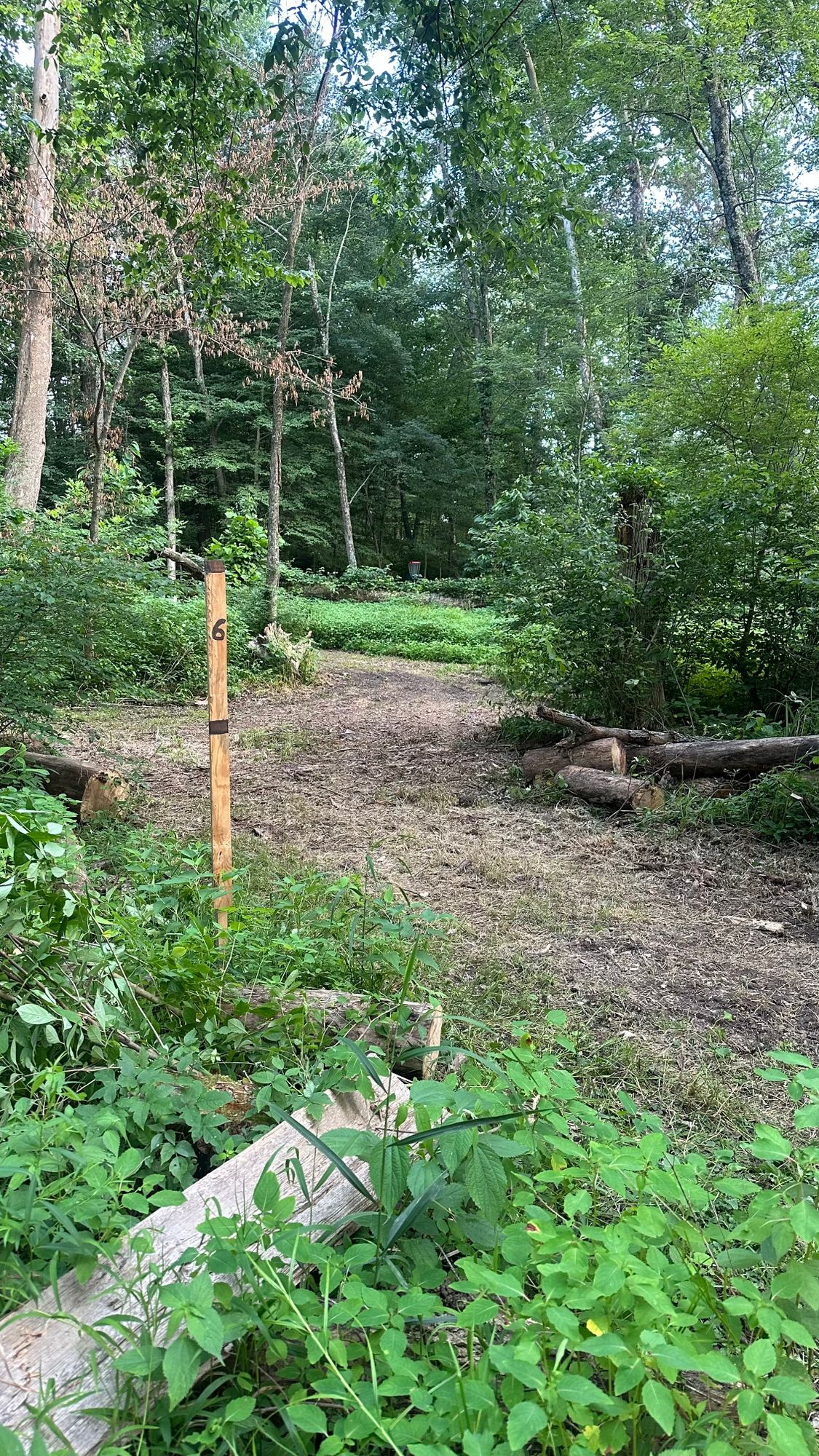 Hole 6 Teepad
Short Ace Run over the fell tree 
Small Natural Spring ⛲️ on the other side