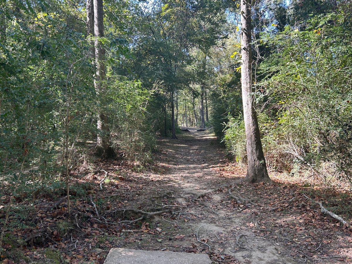 Hole 9 Fairway
