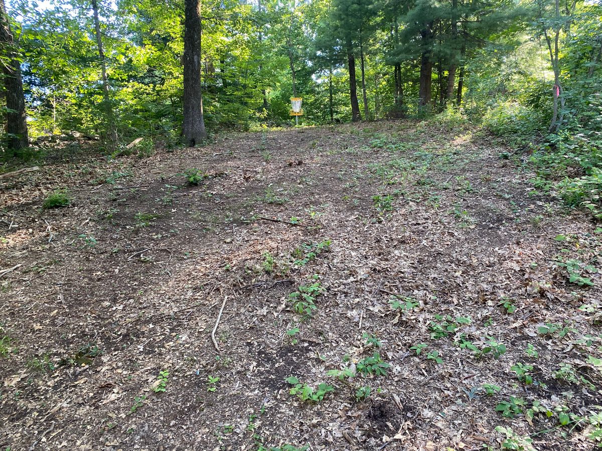 Hole 5