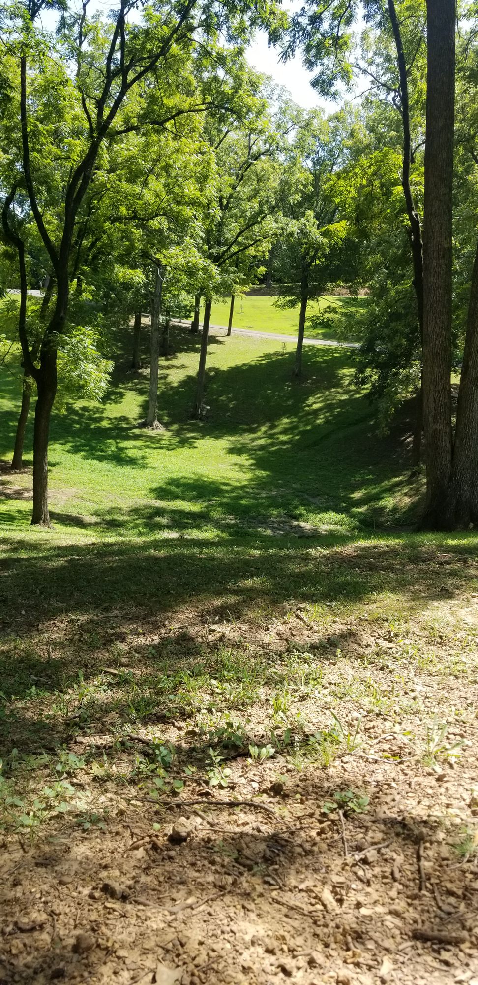 Radcliff Disc Golf