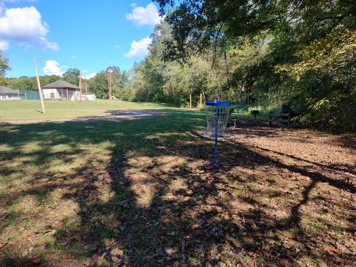 Basket 6 back view to tee pad