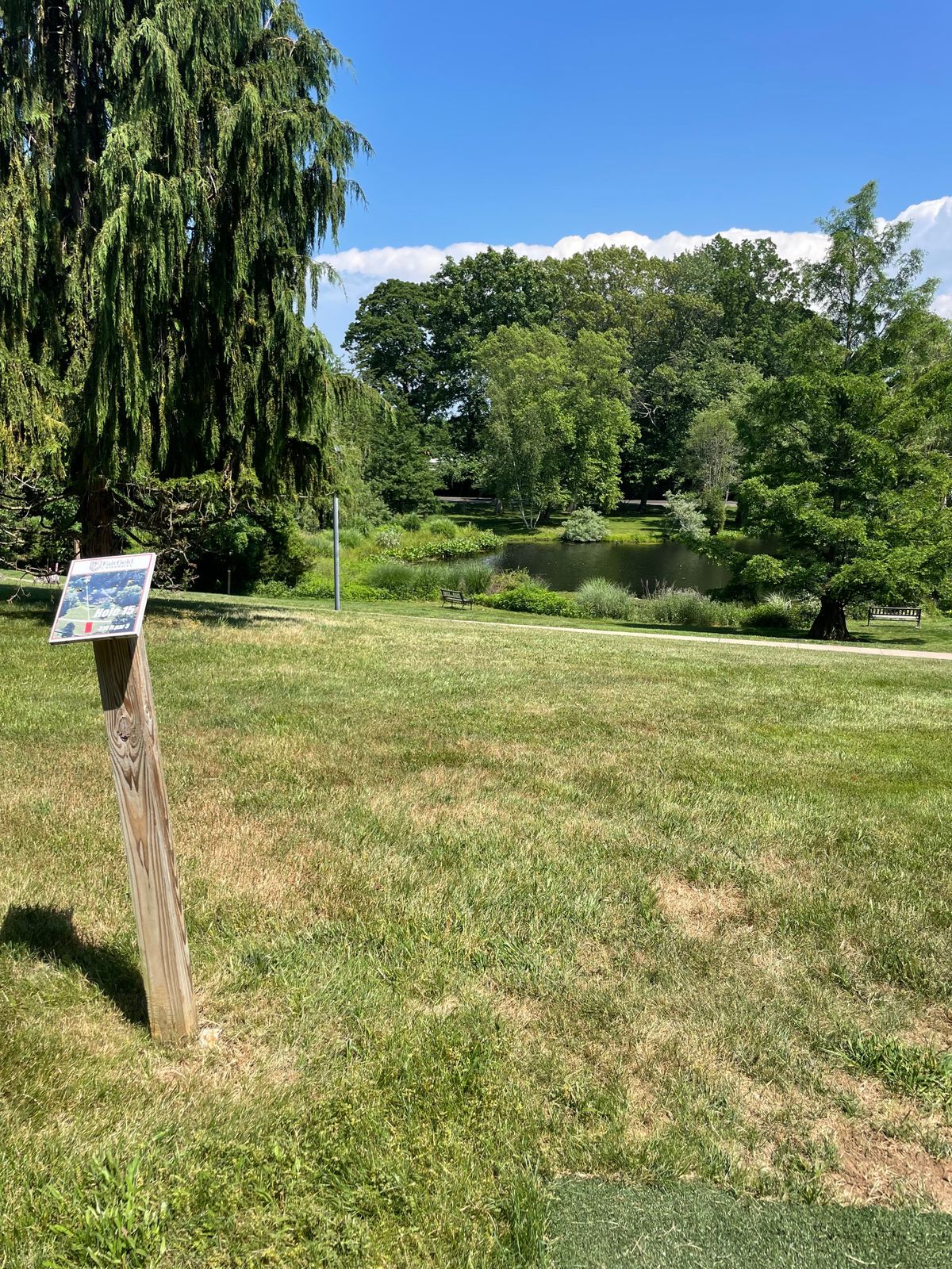 Hole 15