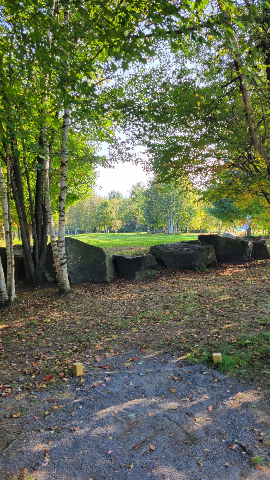 Hole 6