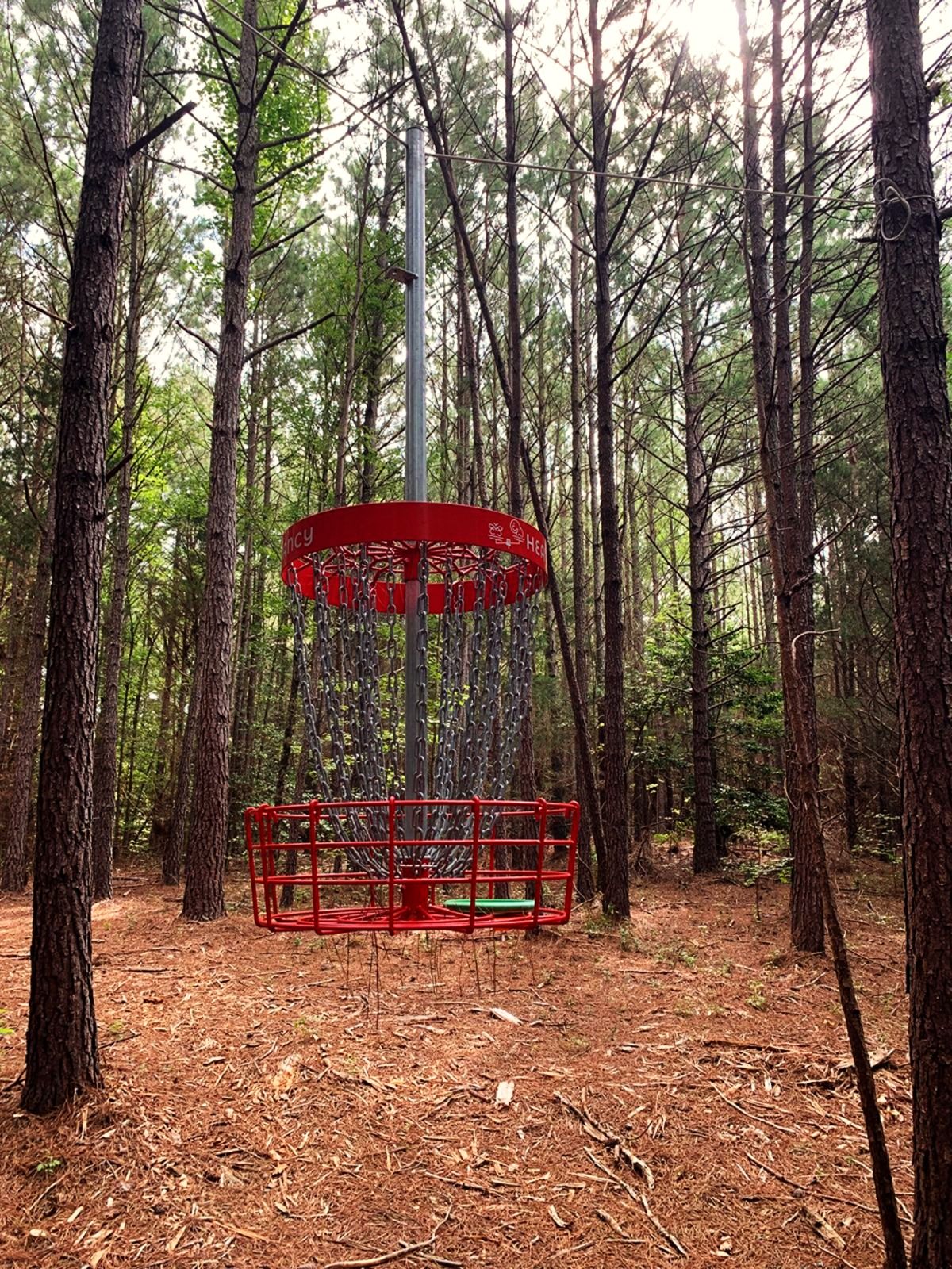 Hole 8 hanging basket