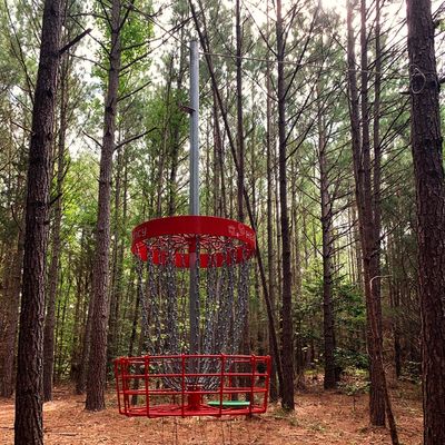 Hole 8 hanging basket