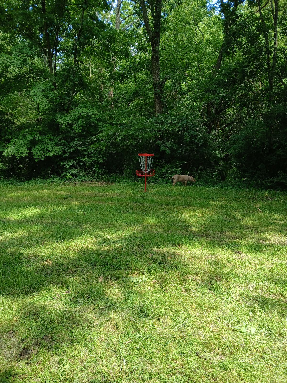 Hole 3 Green
