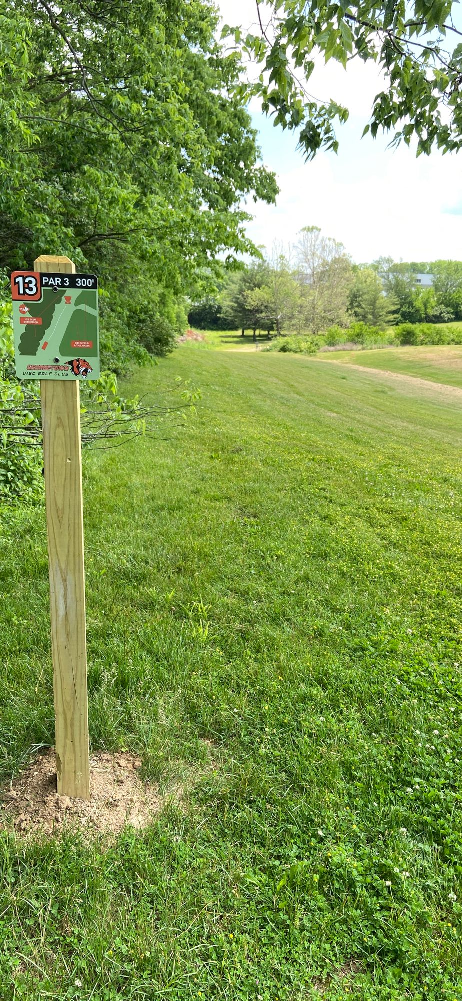 Hole 13