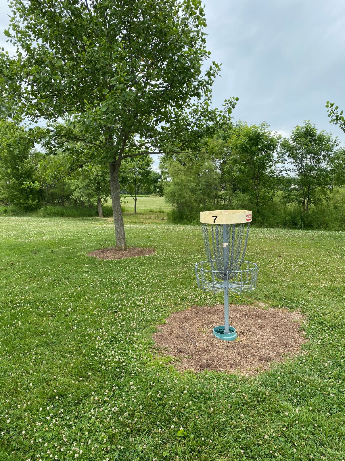 Hole 7 (Reverse)