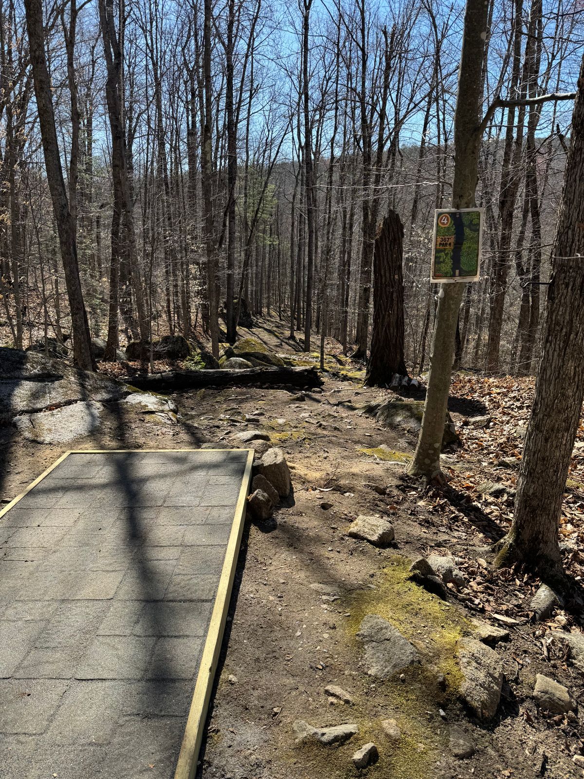 Hole 4