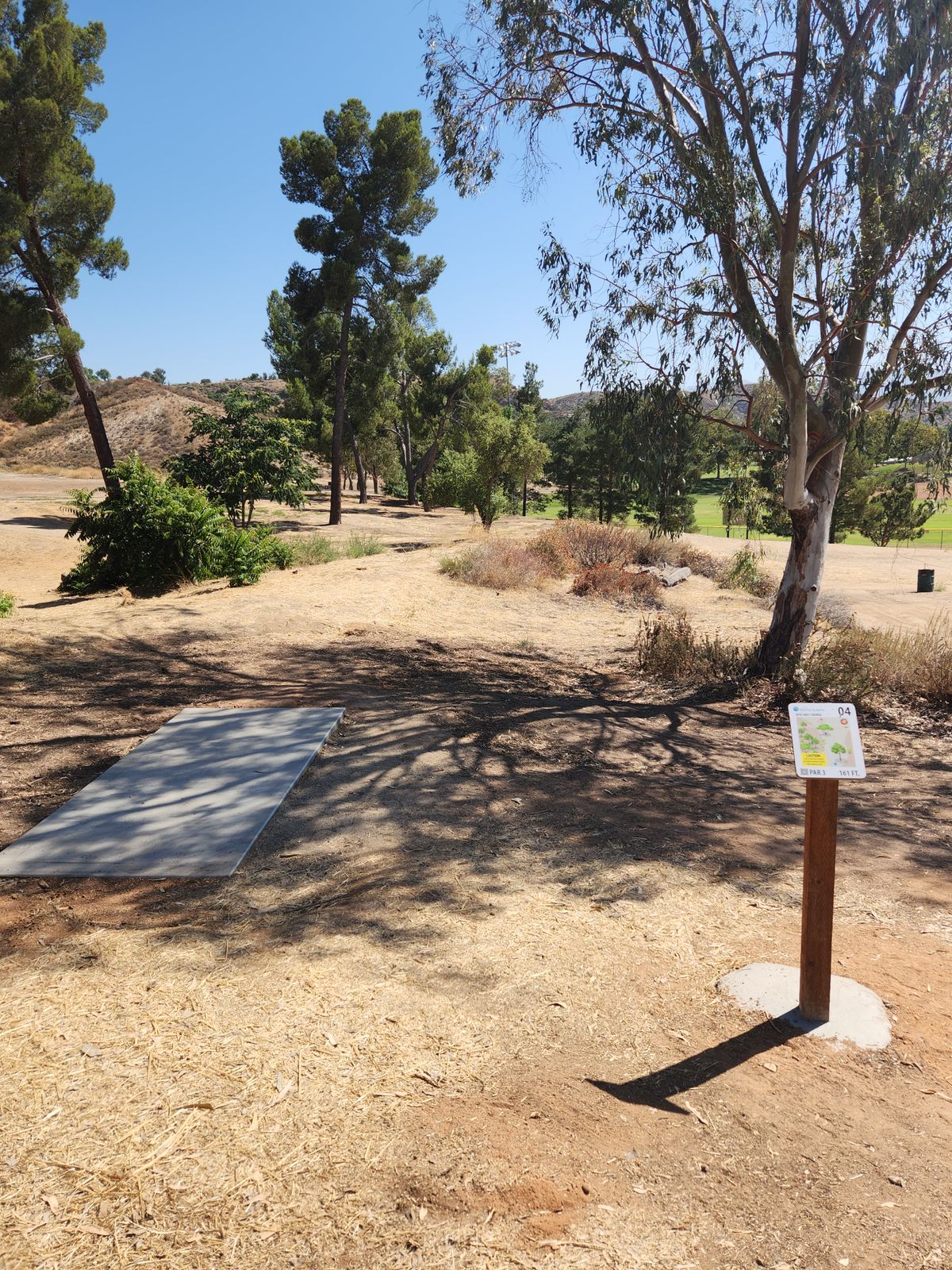 Hole 4 tee box (pov)