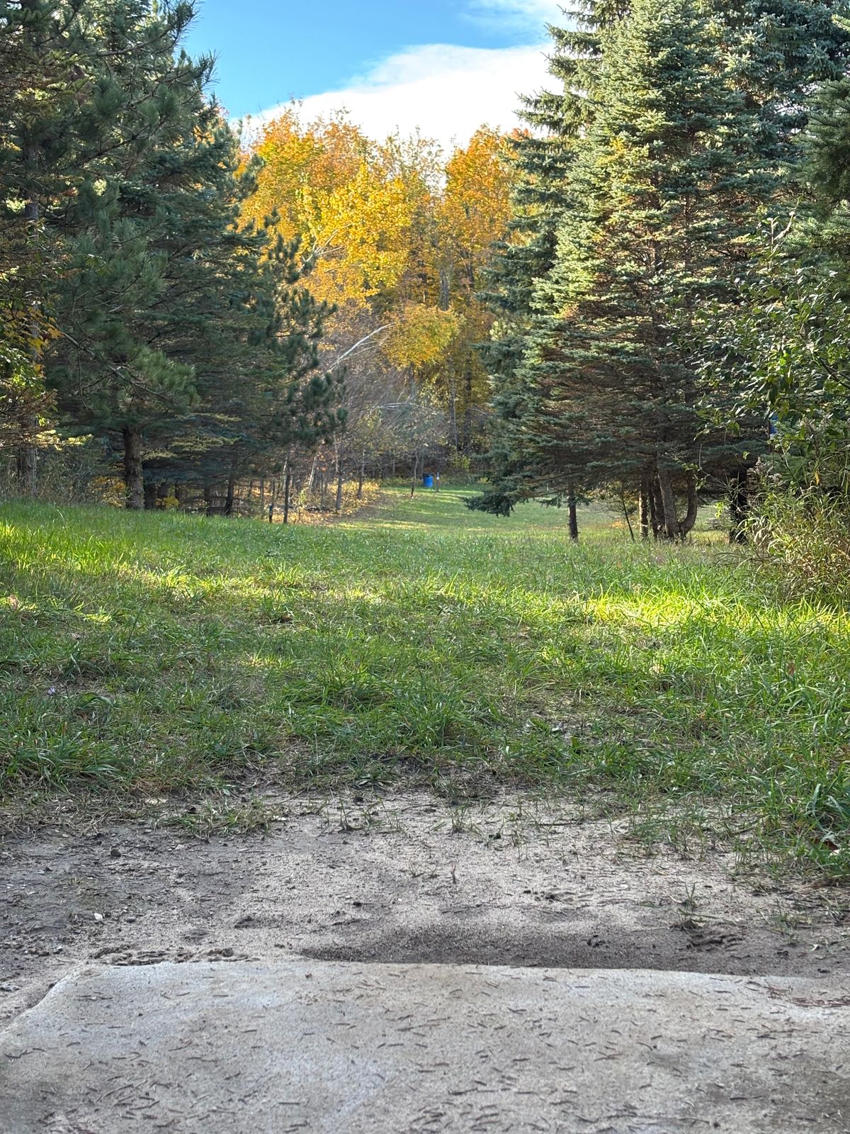 trimmed and opened fairway since Blissfest 25