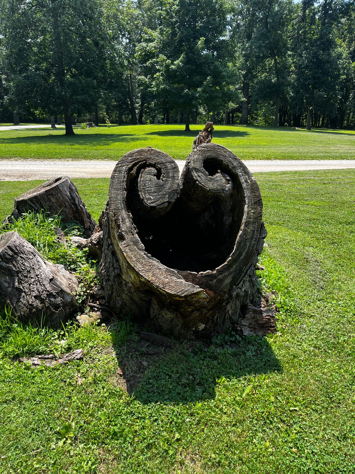 Hole 4
