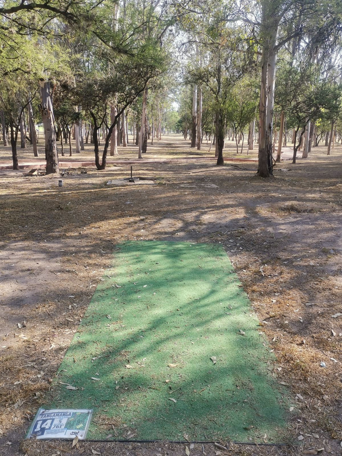 Tee H14