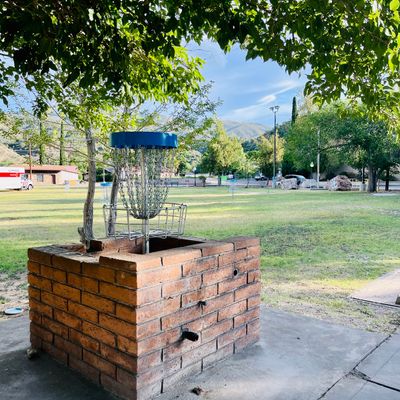 Hole 8 makes use of an old brick planter box. Re-use at its finest