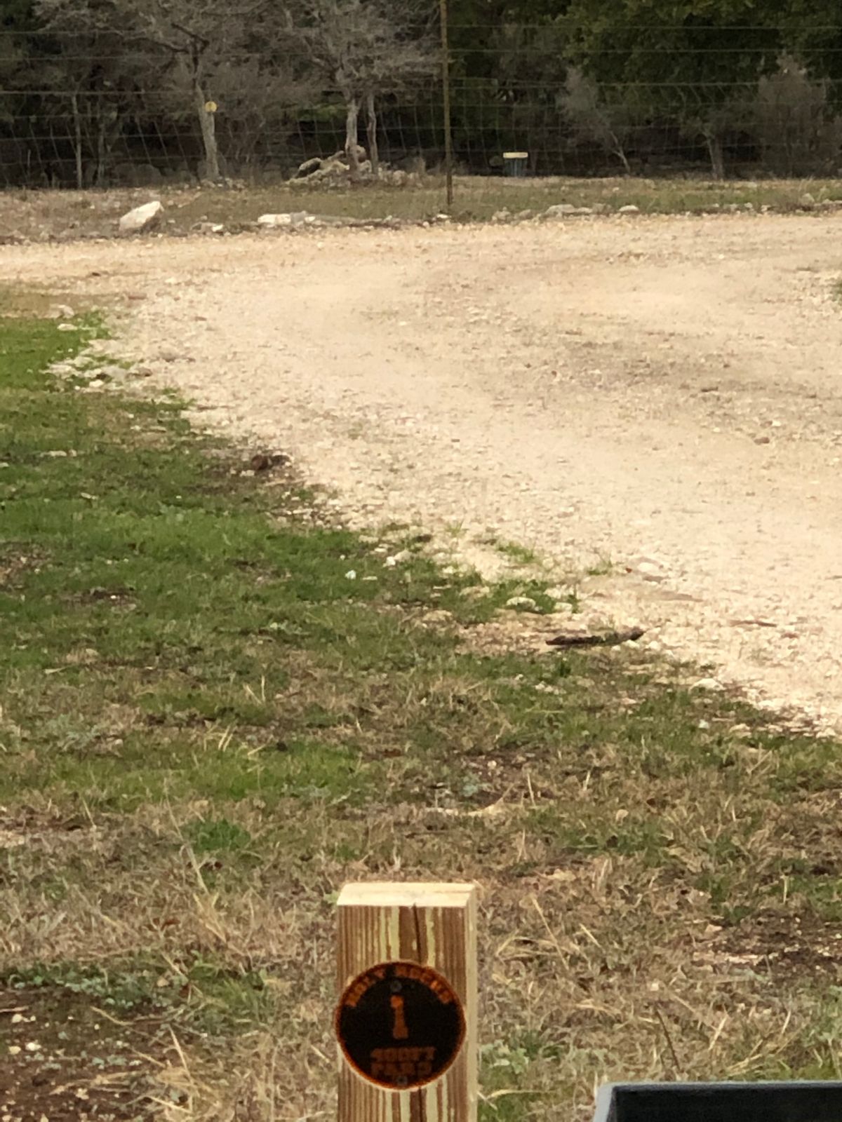 Must be inside fence.