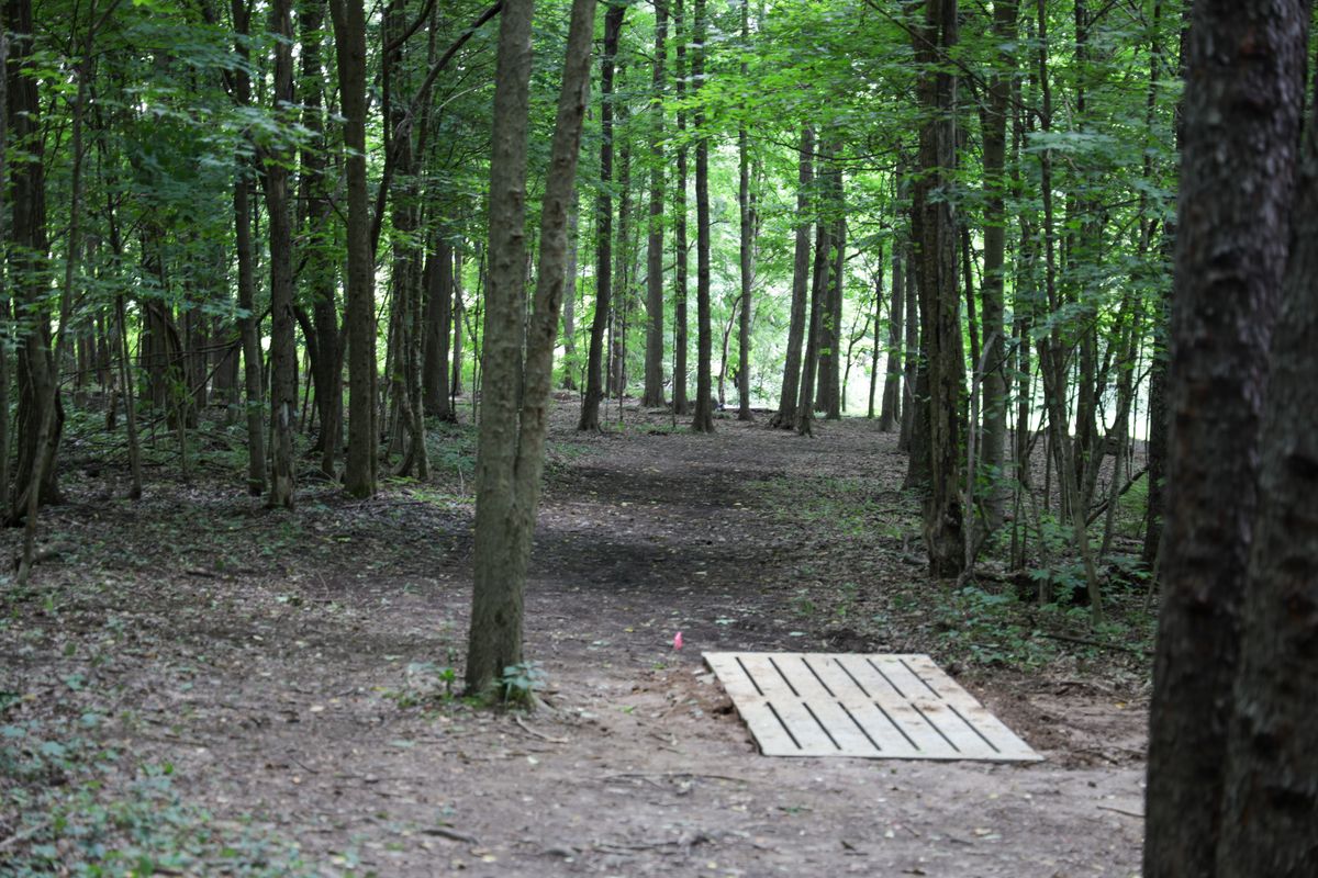 Hole 3 - long tee