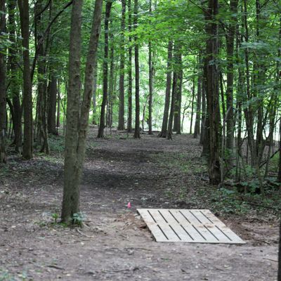 Hole 3 - long tee