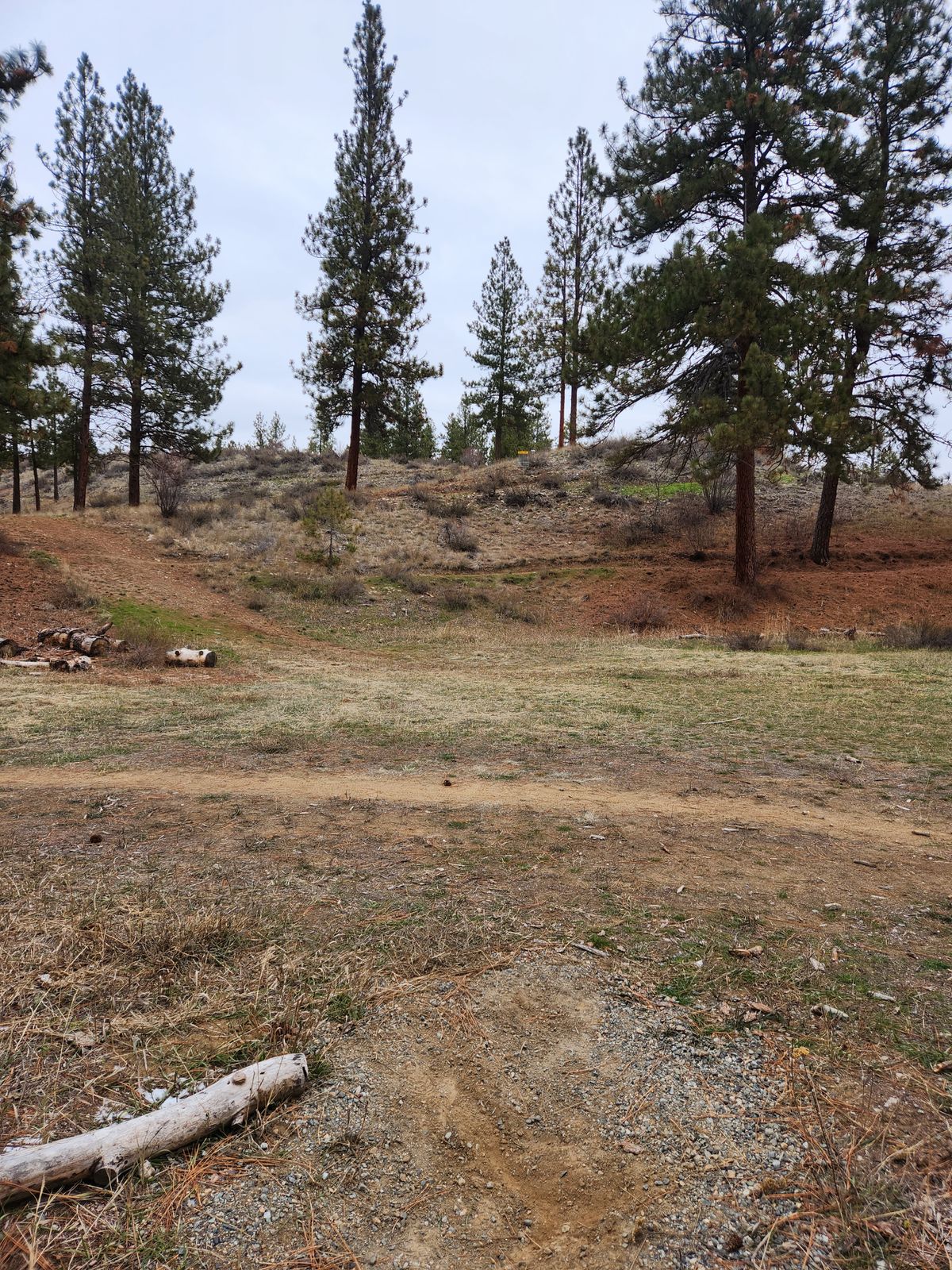 Looking at the basket on the hill on hole 2