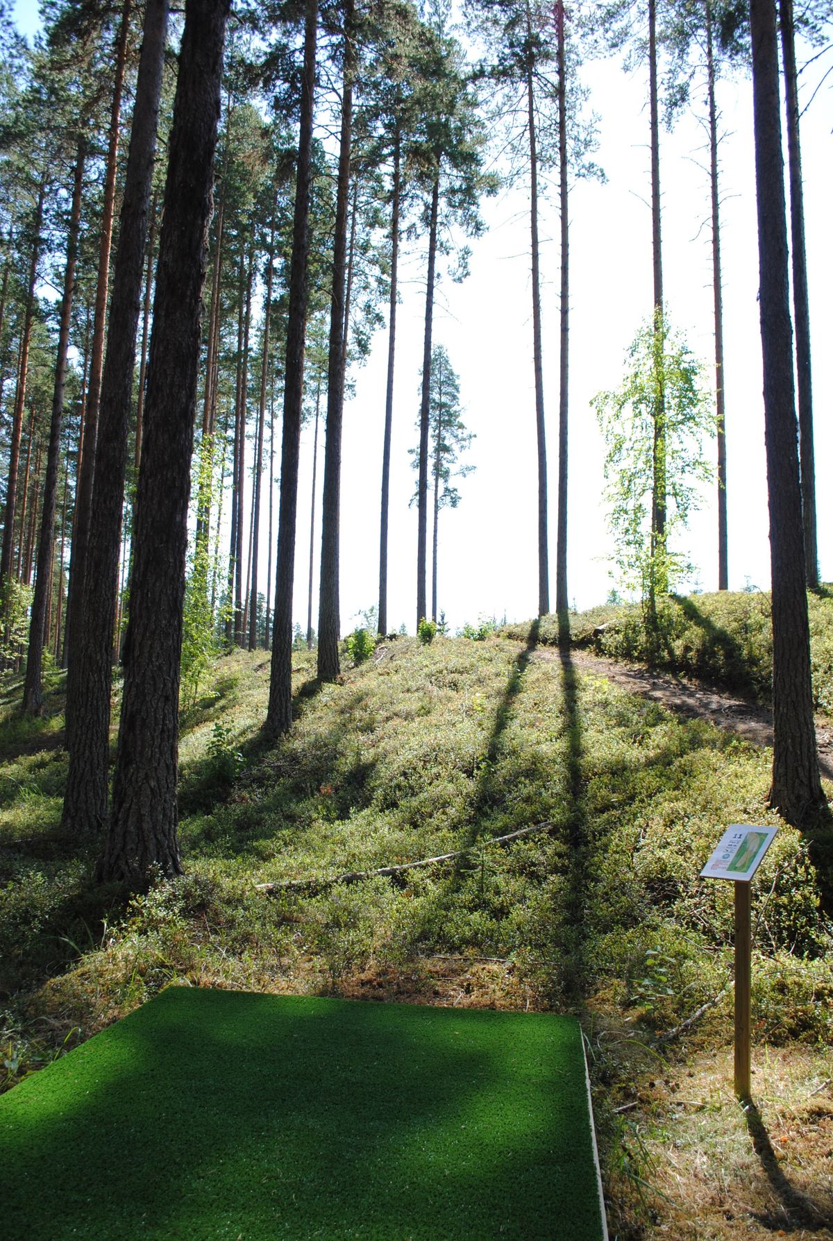 Hål 11