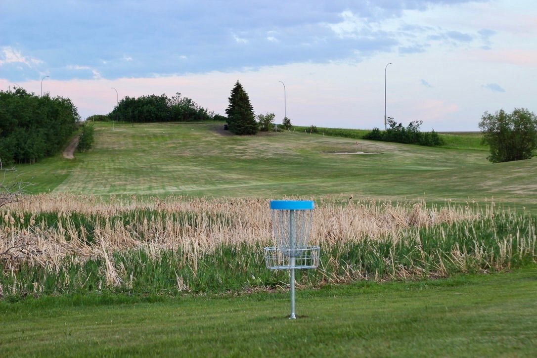 Basket - Looking back at tee