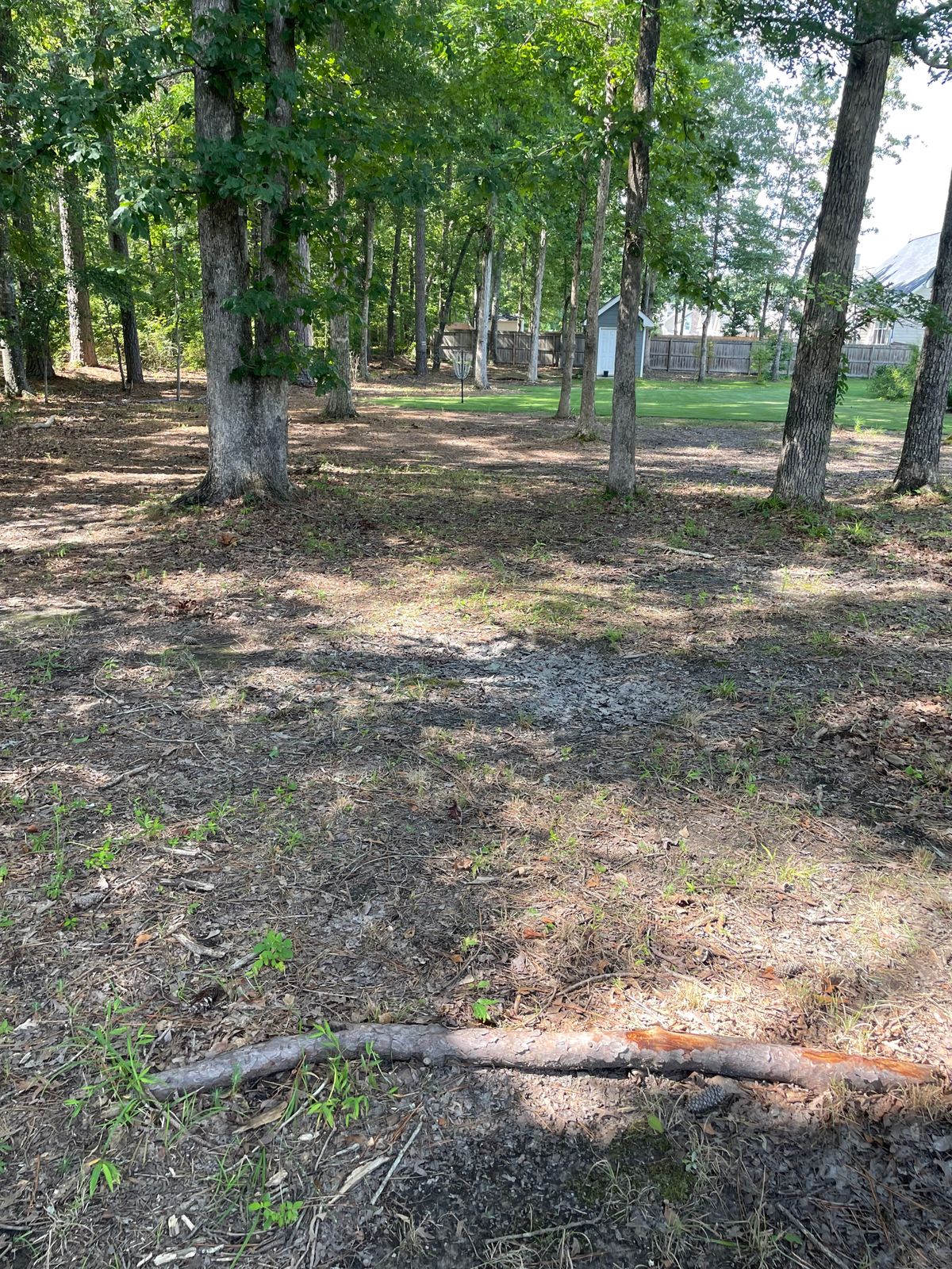 Hole 11